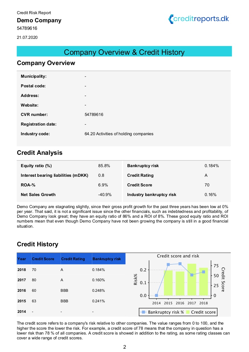 The background information and Credit History shown on the report.